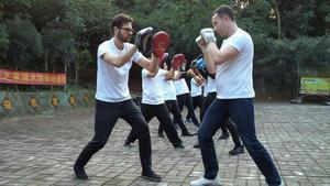 Emei 36 Elbows